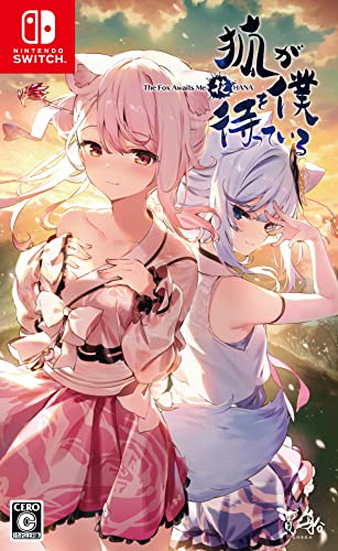 ゲーム会社・賈船(Cosen)で最高傑作のゲームを決める人気投票&ランキング 7位 狐が僕を待っている花の画像
