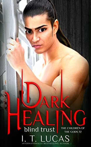 Dark Healing Blind Trust book cover