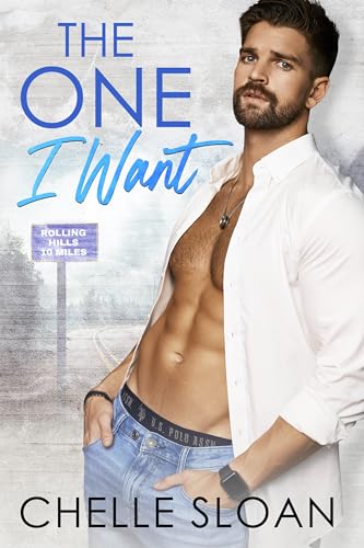 The One I Want cover