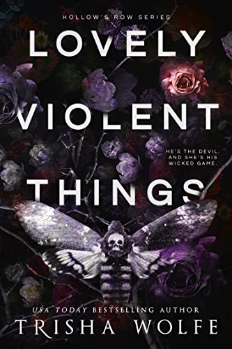 Lovely Violent Things book cover