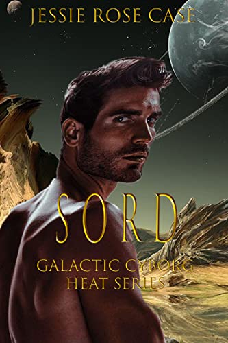 Sord book cover