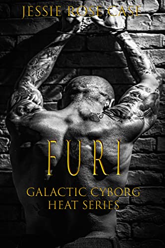Furi book cover