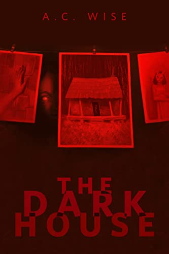 The Dark House book cover