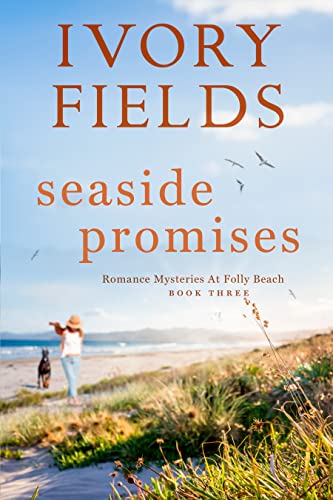 Seaside Promises 3 book cover