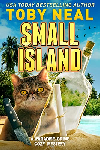Small Island book cover