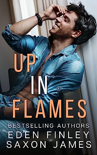 Up in Flames book cover