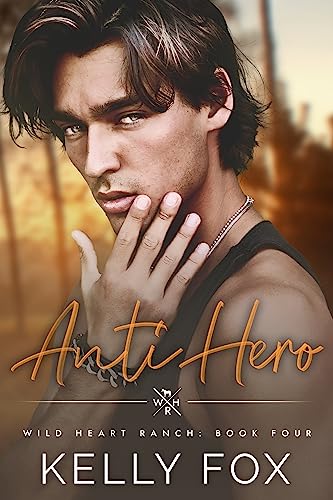 Anti-Hero book cover