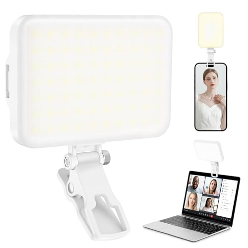 60 LED Portable Selfie Light Video Conference Lighting With Clip And