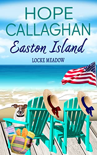 Locke Meadow book cover