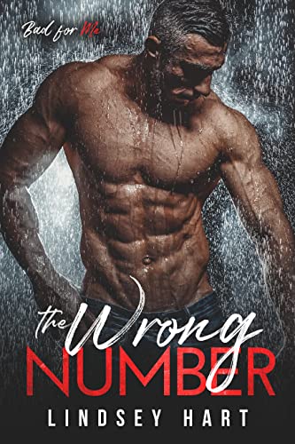 The Wrong Number cover