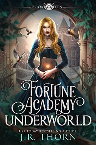 Fortune Academy Underworld: Book Ten book cover