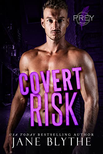 Covert Risk book cover