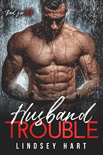 Husband Trouble book cover