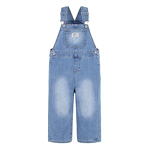 Levi's Baby Boys' Denim Overall, Basil Sky, 3T