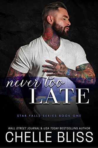 Never Too Late book cover