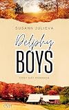 Delphy Boys: Ein Kleinstadtherzen Roman