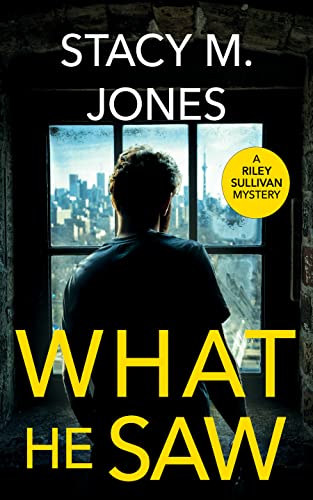 What He Saw book cover