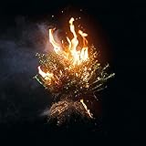 Can You Imagine? (2023)