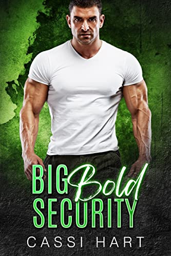 Big Bold Security cover