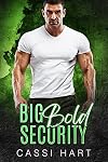 Big Bold Security