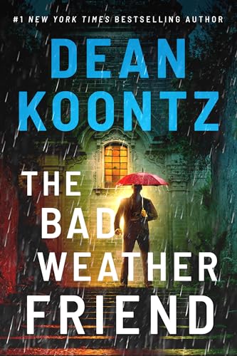 The Bad Weather Friend book cover