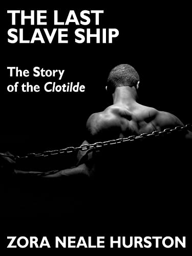 The Last Slave Ship book cover