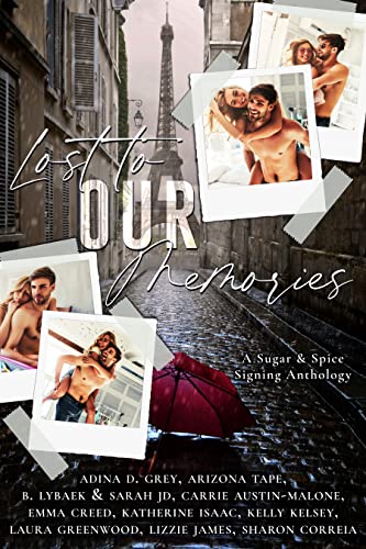 Lost to our Memories book cover