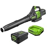Greenworks Cordless Leaf Blower product photo