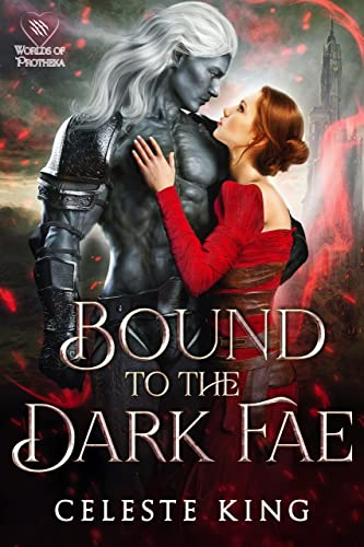 Bound to the Dark Fae book cover