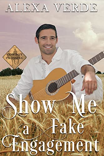 Show Me a Fake Engagement book cover