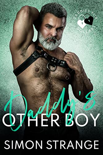 Daddy's Other Boy book cover