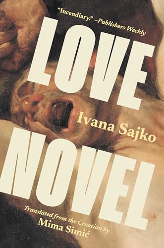 Love Novel book cover