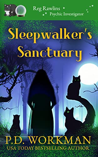 Sleepwalker's Sanctuary book cover