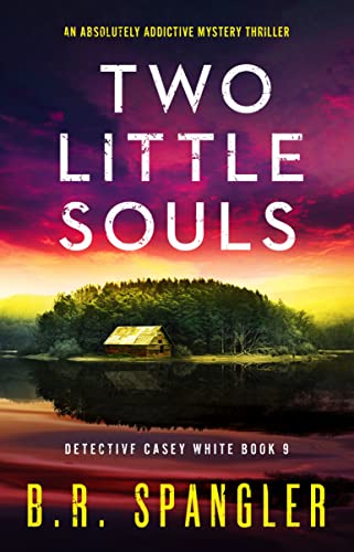 Two Little Souls book cover