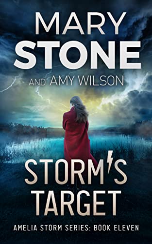 Storm's Target book cover