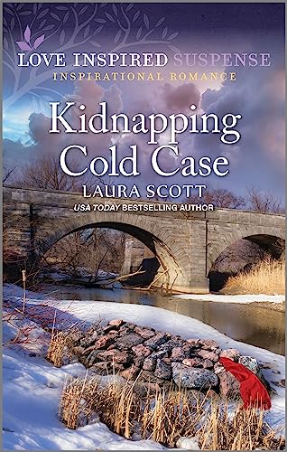 Kidnapping Cold Case book cover