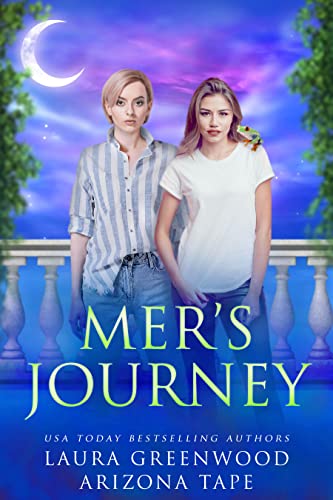 Mer's Journey book cover