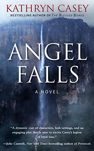 Angel Falls cover