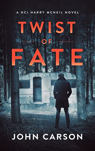 Twist of Fate book cover