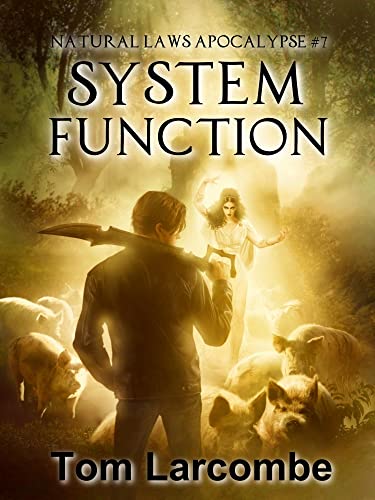 System Function book cover
