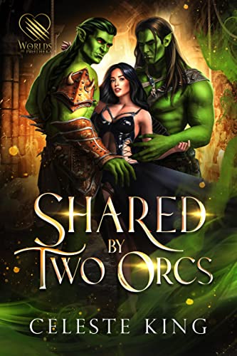 Shared By Two Orcs book cover