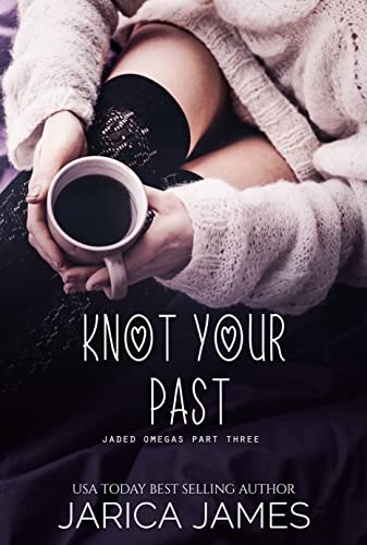 Knot Your Past book cover