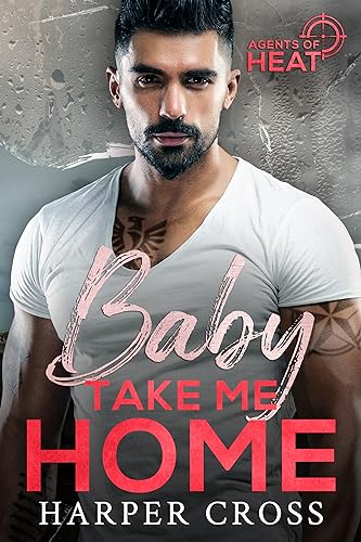 Baby Take Me Home book cover