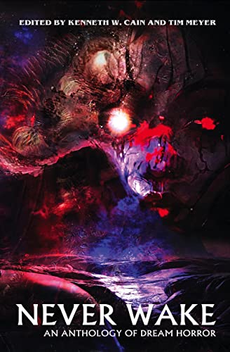 Never Wake book cover