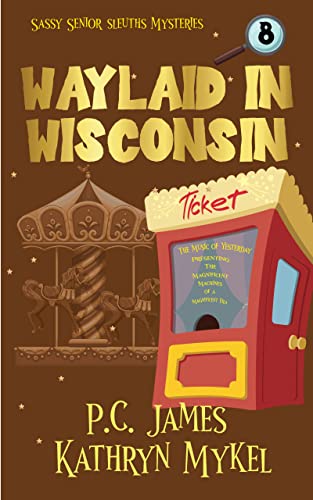 Waylaid In Wisconsin book cover