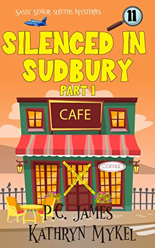 Silenced In Sudbury cover