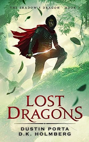 Lost Dragon book cover
