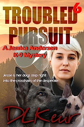 Troubled Pursuit book cover