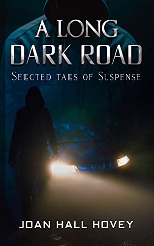 A Long Dark Road book cover