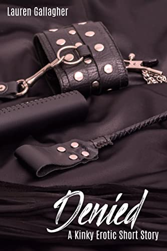 Denied book cover